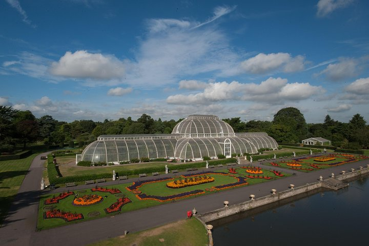 The Palm House